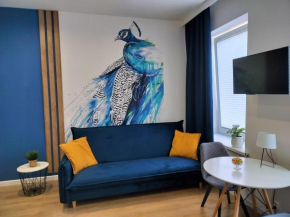 Noclegi Duet House Green Harmony Studio wejście na kod CENTRUM Ptak, Orientarium, Mandoria, Fala, Centrum Zdrowia Matki Polki, bezpłatny parking, klimatyzacja